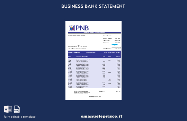 stile verificato Modello di estratto conto aziendale della Banca nazionale filip